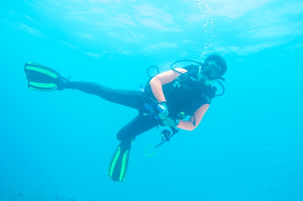 Diving Tubbataha Reef Philippines