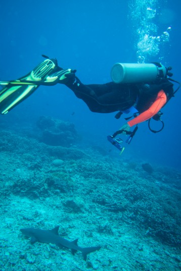 Tubbataha Reef Philippines