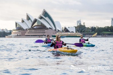 Sydney by Kayak Sunrise Paddle Oct - Nov 177